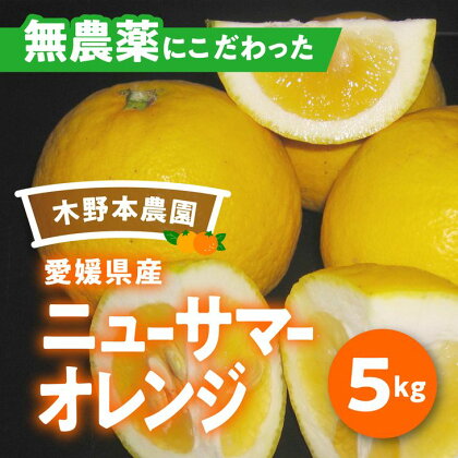 【数量限定】農園直送！愛媛県産ニューサマーオレンジ 5kg※着日指定不可※2024年4月下旬頃より順次発送予定