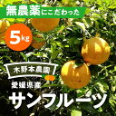 6位! 口コミ数「1件」評価「1」【数量限定】農園直送！愛媛県産サンフルーツ 5kg※着日指定不可※2024年4月上旬～6月下旬頃に順次発送予定