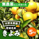 【ふるさと納税】【数量限定】農園直送！愛媛県産 きよみ 5kg※着日指定不可※2024年2月下旬～5月下旬頃に順次発送予定