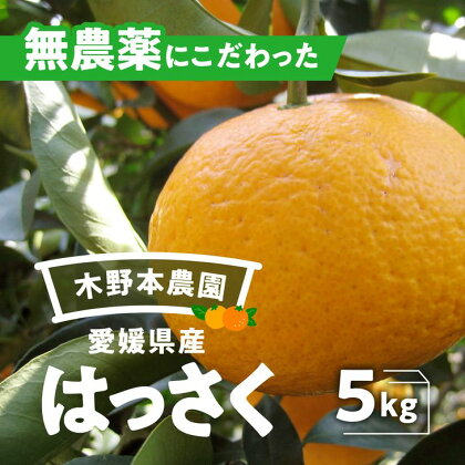 【数量限定】農園直送！愛媛県産 はっさく 5kg※着日指定不可※2024年3月上旬～4月下旬頃に順次発送予定