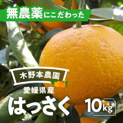 【数量限定】農園直送！愛媛県産 はっさく 10kg※着日指定不可※2024年3月上旬～4月下旬頃に順次発送予定