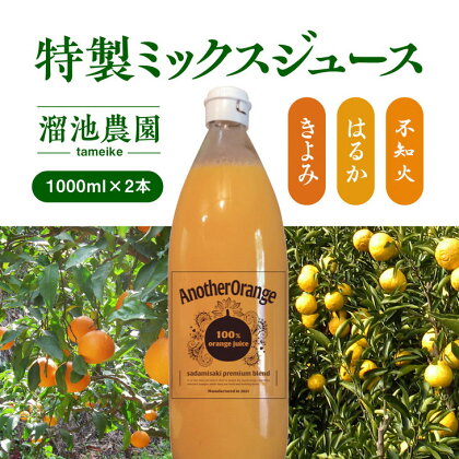 ミックスジュースセット（1000ml×2本）