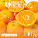 【ふるさと納税】【先行予約】浅野農園の温州みかん 訳あり10kg ※離島への配送不可(2025年12月上旬~12月中旬頃に順次発送予定) 【 ふるさと納税 人気 おすすめ ランキング みかん 柑橘 ミカン 果物 オレンジ 温州 訳あり 10kg 早生 愛媛県 伊方町 送料無料 】 IKTAC005