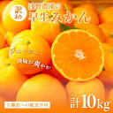 【ふるさと納税】【先行予約】浅野農園の早生みかん 訳あり10kg ※離島への配送不可(2025年11月上旬~11月中旬頃に順次発送予定) 【 ふるさと納税 人気 おすすめ ランキング 柑橘 みかん ミカン オレンジ 訳あり フルーツ 果物 10kg 愛媛県 伊方町 送料無料 】 IKTAC013