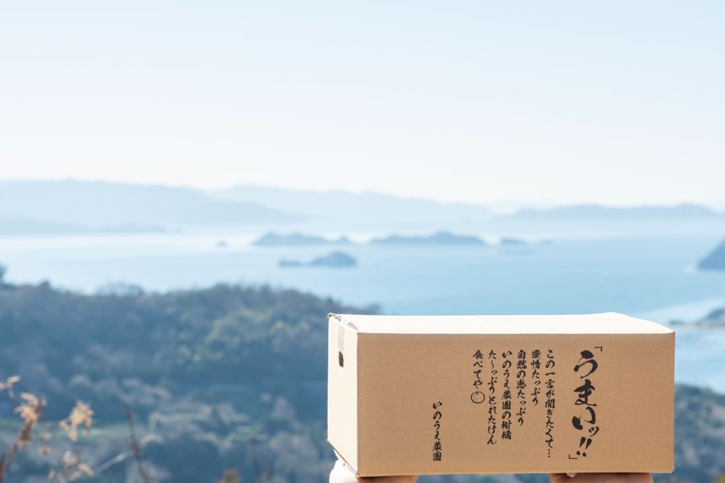 愛媛県伊方町の画像3