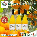 【ふるさと納税】清見オレンジジュース 720ml×3本 ※離島への配送不可 【 ふるさと納税 人気 柑橘 みかん ミカン オレンジ 清見オレンジ オレンジジュース ジュース 旬 愛媛県産 愛媛みかん 愛媛県 伊方町 送料無料 】 IKTAU013(4)