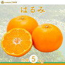 【ふるさと納税】【先行予約】【数量限定】はるみ(生果5kg)※離島への配送不可(2026年1月下旬より順次発送予定)【 ふるさと納税 人気 おすすめ ランキング 柑橘 みかん ミカン はるみ mikan 蜜柑 果物 生果 フルーツ 愛媛県産 愛媛県 伊方町 送料無料 】 IKTBD009