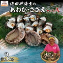 【ふるさと納税】【数量限定】佐田岬海士のあわび・さざえセットA 計3kg ※北海道・東北地方・沖縄・離島への配送不可 【 ふるさと納税 人気 おすすめ ランキン...