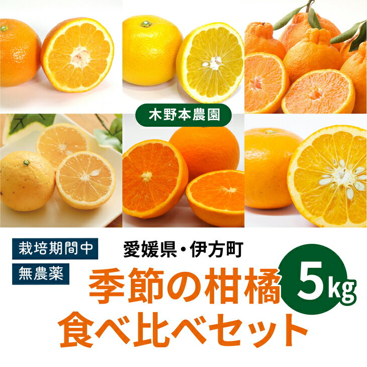 【ふるさと納税】【農家厳選】木野本農園　季節の柑橘食べ比べセット 5kg※着日指定不可※2024年1月上旬...