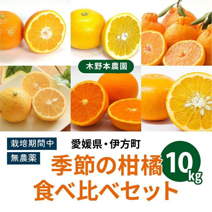 【ふるさと納税】【農家厳選】木野本農園　季節の柑橘食べ比べセット 10kg※着日指定不可※2024年1月上...