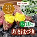 【ふるさと納税】【数量限定】植え付け簡単！新品種！あまはづき　芋苗（10本）※着日指定不可