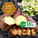 【ふるさと納税】【数量限定】植え付け簡単！新品種！ゆきこまち　芋苗（10本）※着日指定不可