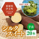 【ふるさと納税】【数量限定】植え付け簡単！シルクスイート　芋苗（20本）※2023年8月上旬～8月下旬頃に順次発送予定※着日指定不可