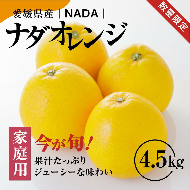 【ふるさと納税】【 数量限定 】【50個限定】【農家直送】愛媛県産 ナダオレンジ 家庭用4.5kg ｜みかん 蜜柑 ミカン 柑橘 河内晩柑 果物 フルーツ 限定 産地直送 子ども デザート 2024年5月中…