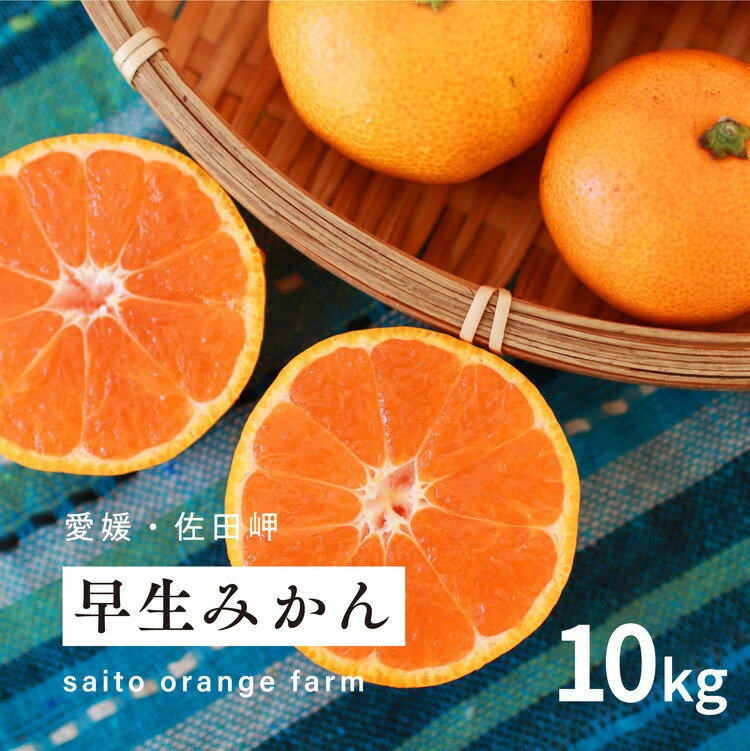 【ふるさと納税】【先行予約】Saito Orange Farmの早生（わせ）みかん10kg ｜ 柑橘 みかん ミカン フルーツ 果物 愛媛　※離島への配送不可　※2024年12月上旬頃より順次発送予定