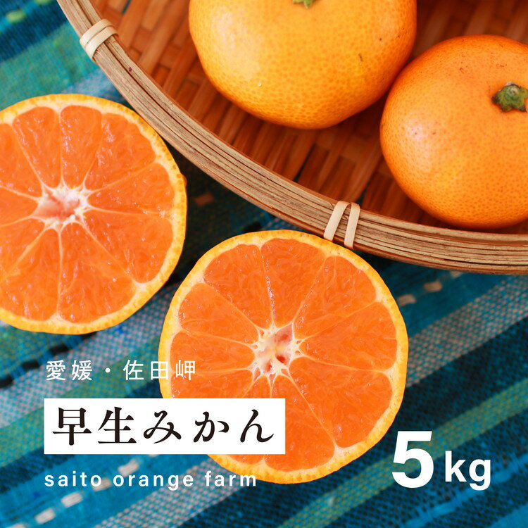 【ふるさと納税】【先行予約】Saito Orange Far