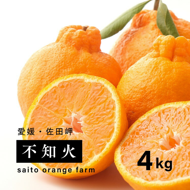 【ふるさと納税】【先行予約】Saito Orange Farmの不知火4kg ｜ 柑橘 みかん ミカン フルーツ 果物 でこぽん デコポンと同品種 愛媛　※離島への配送不可　※2025年3月中旬頃より順次発送予定