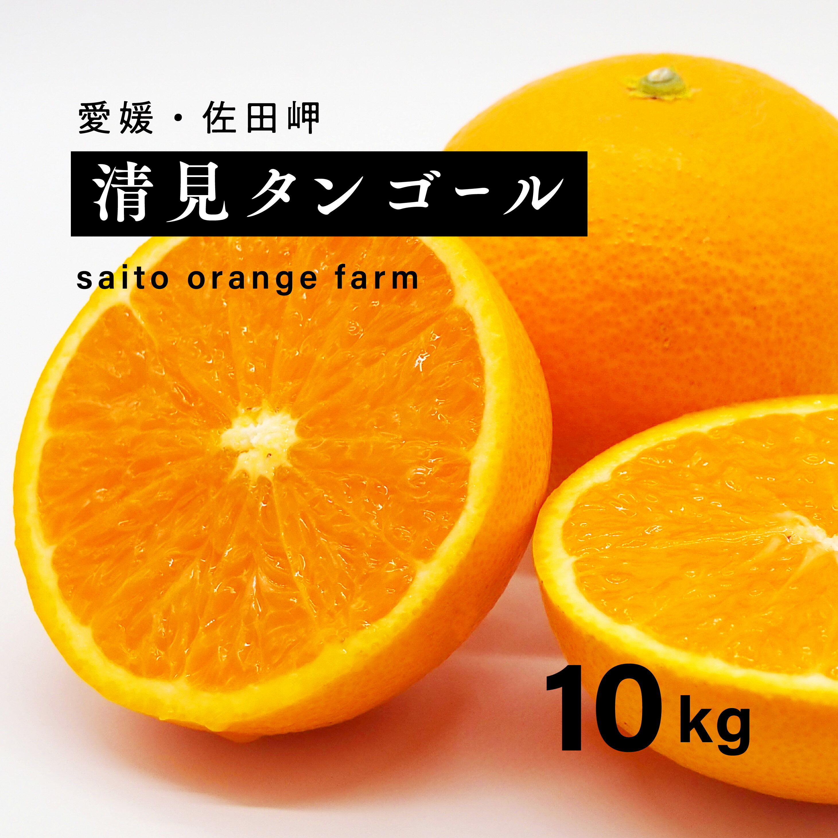 【ふるさと納税】【先行予約】Saito Orange Farmの清見タンゴール10kg ｜ 柑橘 みかん ミカン フルーツ 果物 愛媛　※離島への配送不可　※2025年3月下旬頃より順次発送予定