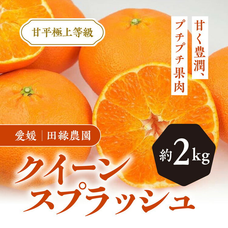 2位! 口コミ数「0件」評価「0」【先行予約】【数量限定】田縁農園のクイーンスプラッシュ2kg ※離島への配送不可 ※2025年2月上旬～2月下旬頃に順次発送予定