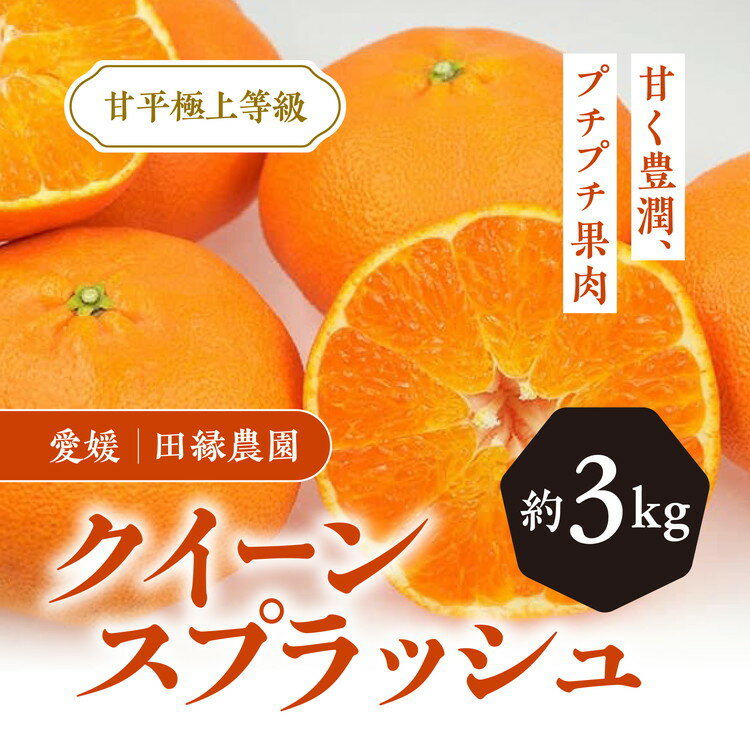 8位! 口コミ数「0件」評価「0」【先行予約】【数量限定】田縁農園のクイーンスプラッシュ3kg ｜ 柑橘 みかん ミカン フルーツ 果物 愛媛 ※離島への配送不可 ※2025･･･ 