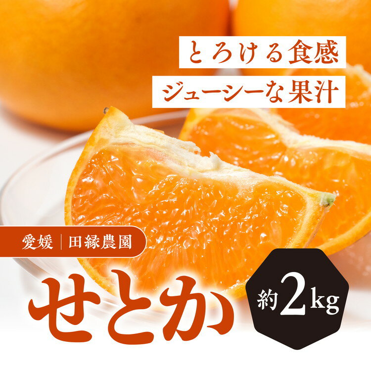 5位! 口コミ数「0件」評価「0」【先行予約】【数量限定】田縁農園のせとか2kg ｜ 柑橘 みかん ミカン フルーツ 果物 愛媛 ※離島への配送不可 ※2025年3月上旬～3･･･ 