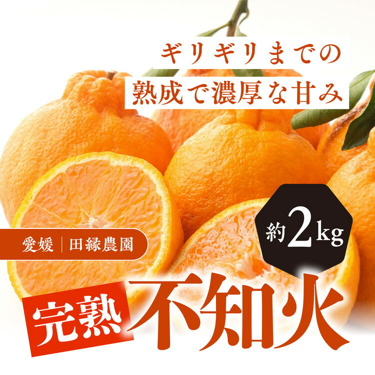 56位! 口コミ数「0件」評価「0」【先行予約】【数量限定】田縁農園の完熟不知火（しらぬい）2kg ｜ 柑橘 みかん ミカン フルーツ 果物 でこぽん デコポンと同品種 愛媛 ･･･ 