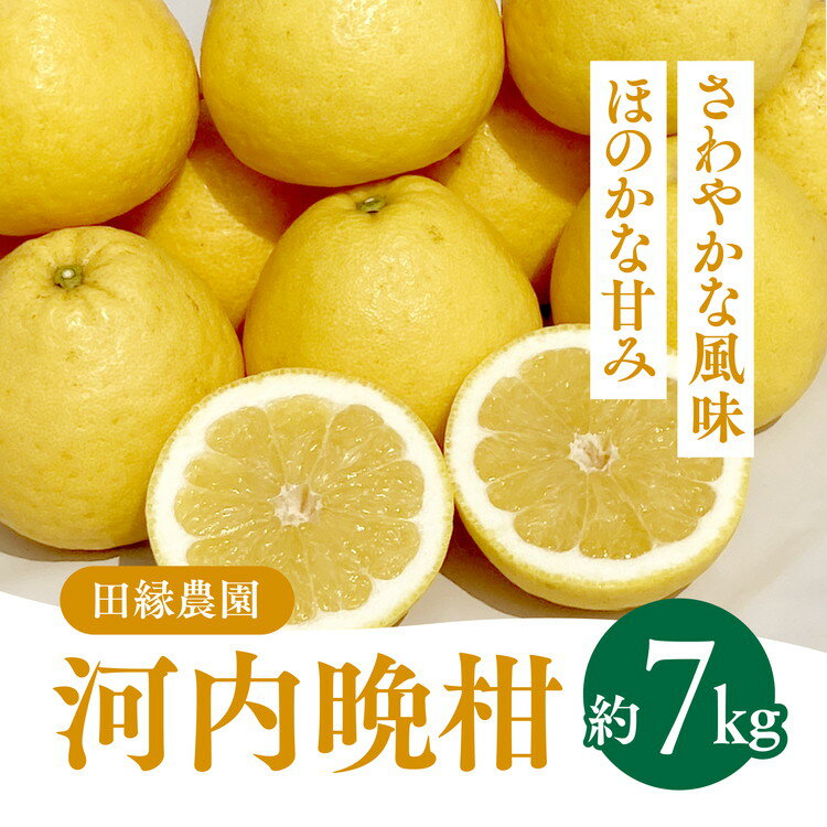 7位! 口コミ数「0件」評価「0」田縁農園の河内晩柑約7kg　※離島への配送不可　※2024年4月上旬頃より順次発送予定