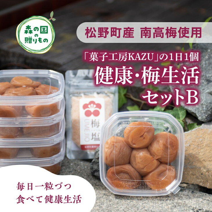 [松野町産 南高梅使用]「菓子工房KAZU」の1日1個 健康・梅生活セットB(4Lサイズ梅干し6個×5箱+梅塩(50g)×1袋)