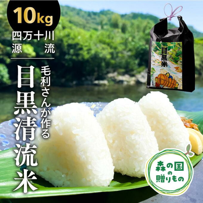 【ふるさと納税】毛利さんの「目黒清流米」（10kg）愛媛県産 コシヒカリ 精米 白米...