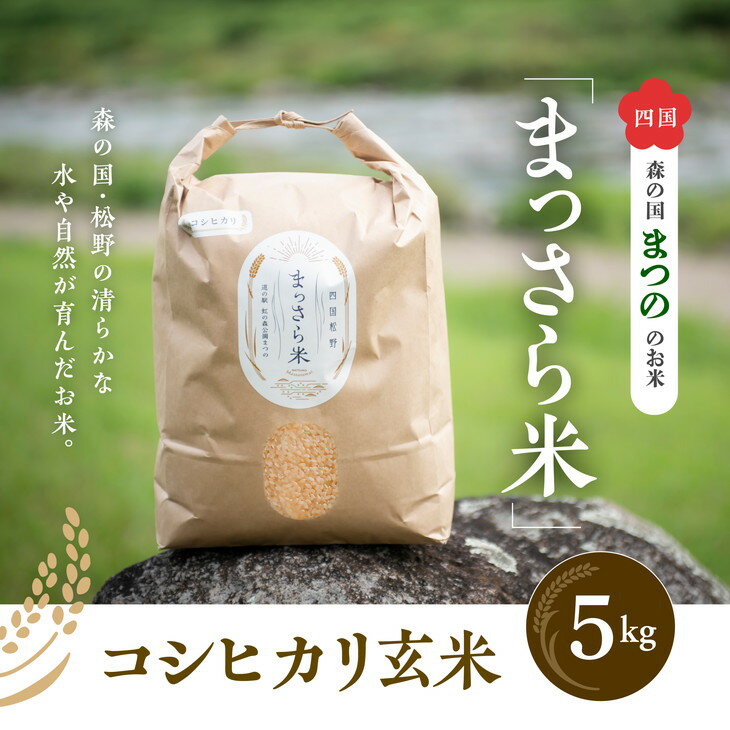 【ふるさと納税】四国・森の国まつののお米「まっさら米」コシヒカリ玄米5kg◇※離島への配送不可※着日指定不可