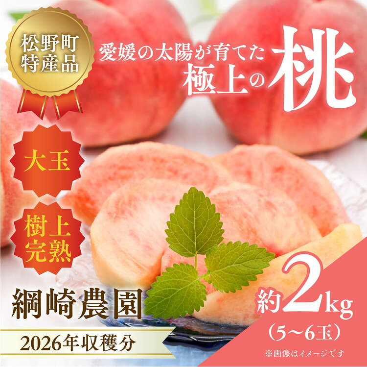 [2026年出荷分先行予約]愛媛の桃どころ 「綱崎農園」から届ける大玉桃 約2kg | ふるさと納税 桃 冷蔵 松野町 フルーツ ギフト ※北海道・沖縄・離島への配送不可 ※2026年6月中旬〜8月中旬もしくは下旬頃に順次発送予定