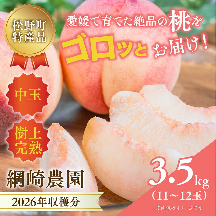 [2026年出荷分先行予約]愛媛の桃どころ「綱崎農園」から届ける中玉桃 約3.5kg | ふるさと納税 桃 冷蔵 松野町 フルーツ ギフト ※北海道・沖縄・離島への配送不可 ※2026年6月中旬〜8月中旬もしくは下旬頃に順次発送予定