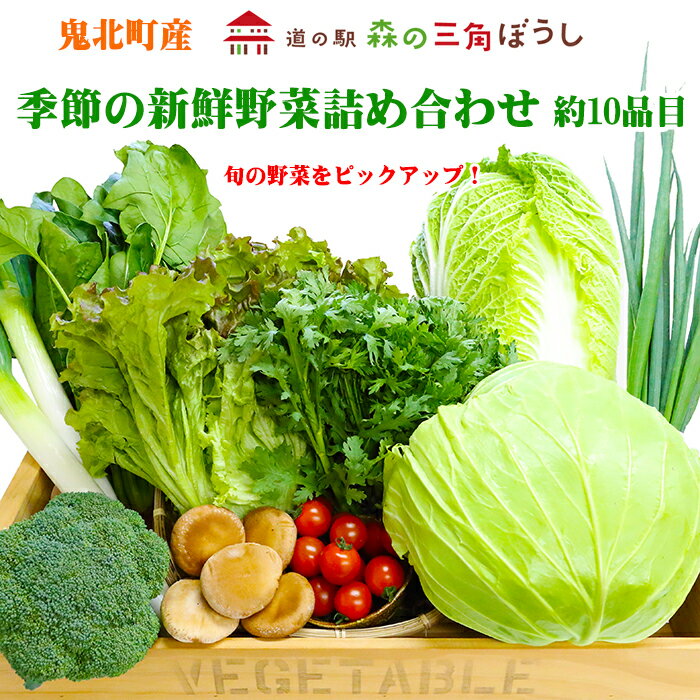 【ふるさと納税】季節の新鮮野菜詰め合わせ 旬【野菜・セット・詰合せ・野菜・野菜セット】