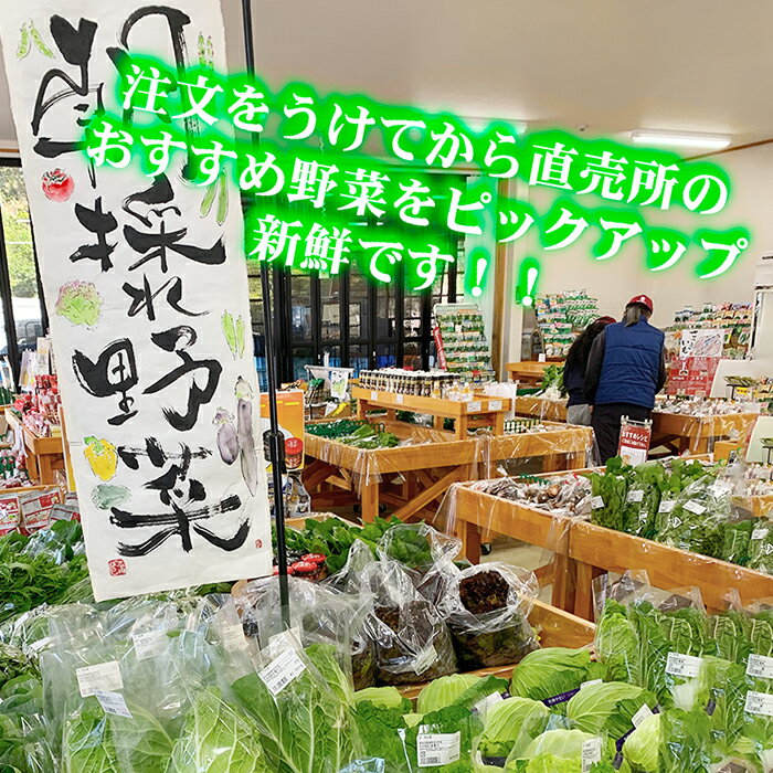 【ふるさと納税】季節の新鮮野菜詰め合わせ 旬【野菜・セット・詰合せ・野菜・野菜セット】