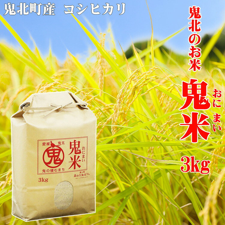 [定期便]令和5年産 鬼北のお米「鬼米(おにまい)」3kg×1袋 3ヶ月連続お届け[定期便・お米・コシヒカリ・鬼米・3ヶ月]