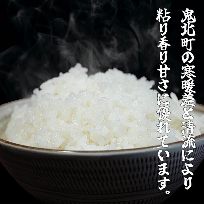 【ふるさと納税】令和5年産 鬼北のお米「鬼米(おにまい)」5kg×2袋　こしひかり 愛媛 鬼北町 ブランド米 精米　【お米・コシヒカリ・お米・鬼米・10kg】