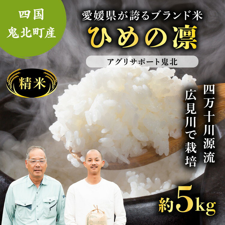 【ふるさと納税】【先行予約】【令和7年度産新米】ひめの凛 約5kg （精米済み） | 精米 お米 米 白米 人気 ブランド ランキング 産地直送 愛媛県 鬼北町 四国 国産 内祝い お祝い アグリサポート鬼北　※離島への配送不可　※2025年11月頃より順次発送予定のサムネイル