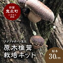 【ふるさと納税】原木しいたけ栽培キット 30cm | しいたけ シイタケ 椎茸 栽培キット 栽培 菌床 しいたけ菌 椎茸菌 自由研究 ※2026年1月〜3月下旬...