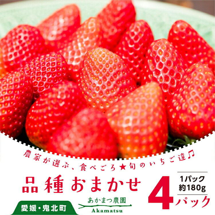 2位! 口コミ数「0件」評価「0」いちご 品種おまかせ 4パック｜あかまつ農園 鬼北町 苺 農家直送 レッドパール 紅い雫 紅ほっぺ 贈り物 ギフト　※2025年2月中旬～3･･･ 