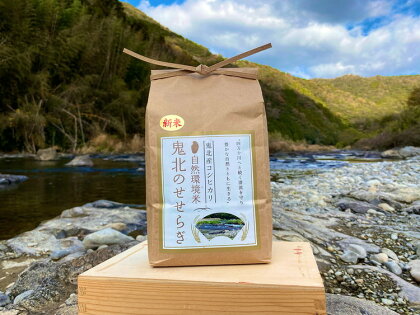 【令和5年産】【自然環境米】鬼北のせせらぎ2kg×6袋セット（鬼北産コシヒカリ）　【お米 白米 ライス ご飯 ブランド米 銘柄米 お弁当 おにぎり 食卓 産地直送 主食 炭水化物 1等米 】