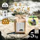 【ふるさと納税】【先行予約】【R7年産】【環境保全米】鬼北町のせせらぎ 5kg(コシヒカリ) | お米 お米不足 お米品薄 おいしい お米 事業者支援 送料無料...