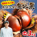 【ふるさと納税】【R8年産】【先行受付】【数量限定】兵頭さん家の鬼北町産栗3kg | 大粒 生栗 和栗 国産栗 地域限定 丹波栗 くり 栗 栗ご飯 生栗 果物 ...