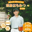【ふるさと納税】\選べる容量/【先行予約】兵頭さん家の国産はちみつ | 国産 百花蜜 蜂蜜 ハチミツ 深山ミツバチ 研究25年 日本ミツバチ ※2025年9月下...