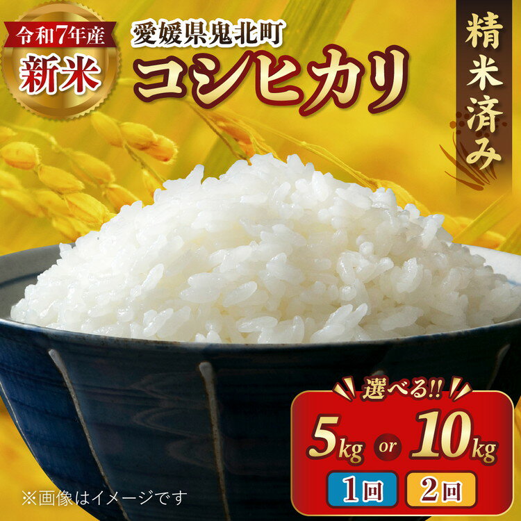 【ふるさと納税】【選べる容量・配送回数】【R7年産新米】愛媛県産 コシヒカリ | ご飯 白米 お米 令和7年産 5kg 10kg 精米済み ※離島への配送不可 ...