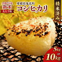 【ふるさと納税】\選べる内容量/【R7年産新米】愛媛県産 コシヒカリ | ご飯 白米 お米 令和7年産 5kg 10kg 20kg 精米済み ※2025年10月...
