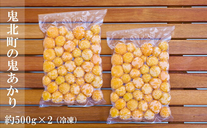冷凍鬼あかり(ほおずき)500g×2パック [果物・詰合せ・セット・フルーツ・野菜・ほおずき]