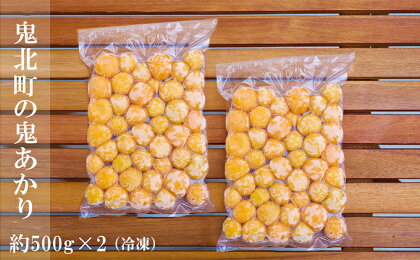 冷凍鬼あかり（ほおずき）500g×2パック　【果物・詰合せ・セット・フルーツ・野菜・ほおずき】