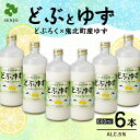【ふるさと納税】どぶとゆず 600ml×6本(計3.6L)| ふるさと納税 お酒 アルコール ドリンク おうち時間 BBQ 宅飲み 晩酌 お取り寄せ ギフト 父の日 母の日 柚子 ユズ ※離島への配送不可