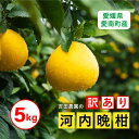 【ふるさと納税】訳あり 河内晩柑5kg(家庭用) <柑橘 希少 果物 国産 フルーツ みかん 蜜柑 訳あり 家庭用 和製 グレープフルーツ ブランド 愛媛 果実...