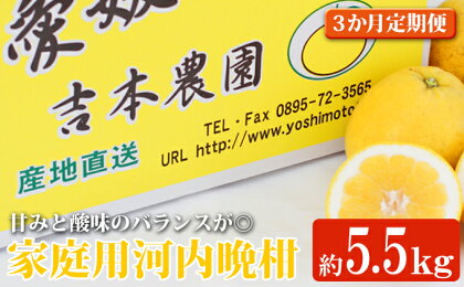 河内晩柑3回お届け定期便／家庭用愛南ゴールド 5.5kg×3回　※2024年4月上旬～8月上旬頃に順次発送予定